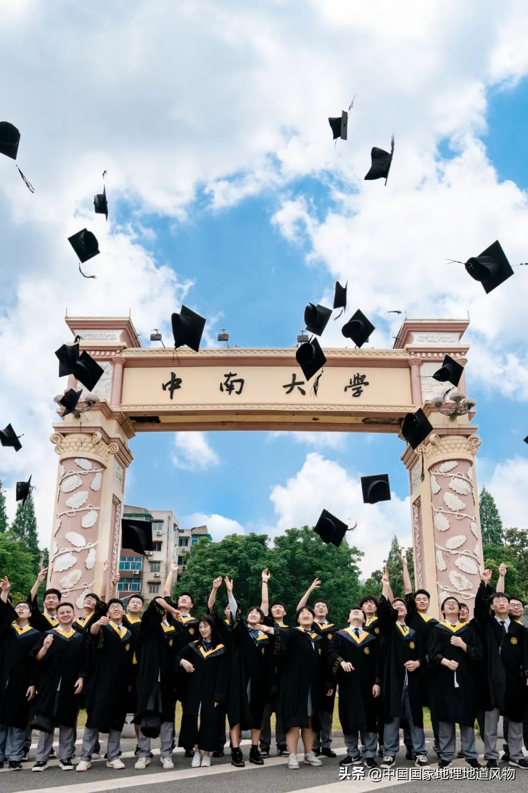 中南财经大学和中南大学法学对比,中南大学哪个系最强