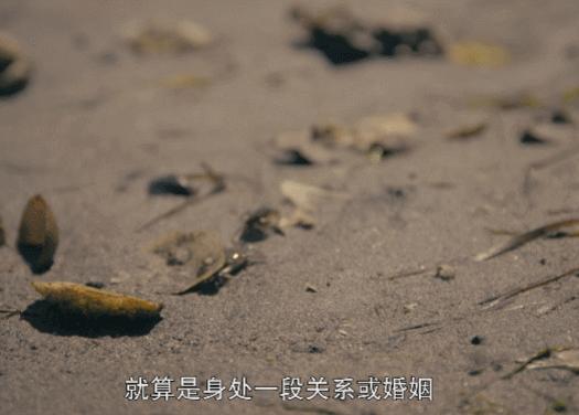 女明星被曝丑闻后续,女明星自曝炒作内幕