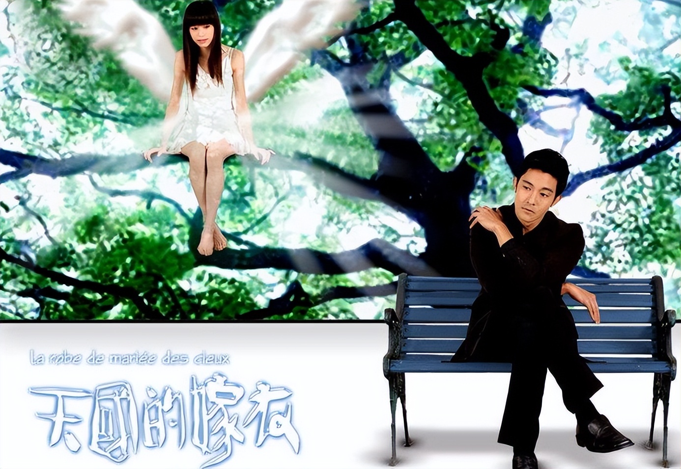 电视剧天国的嫁衣全剧,30部流星花园经典台湾偶像剧