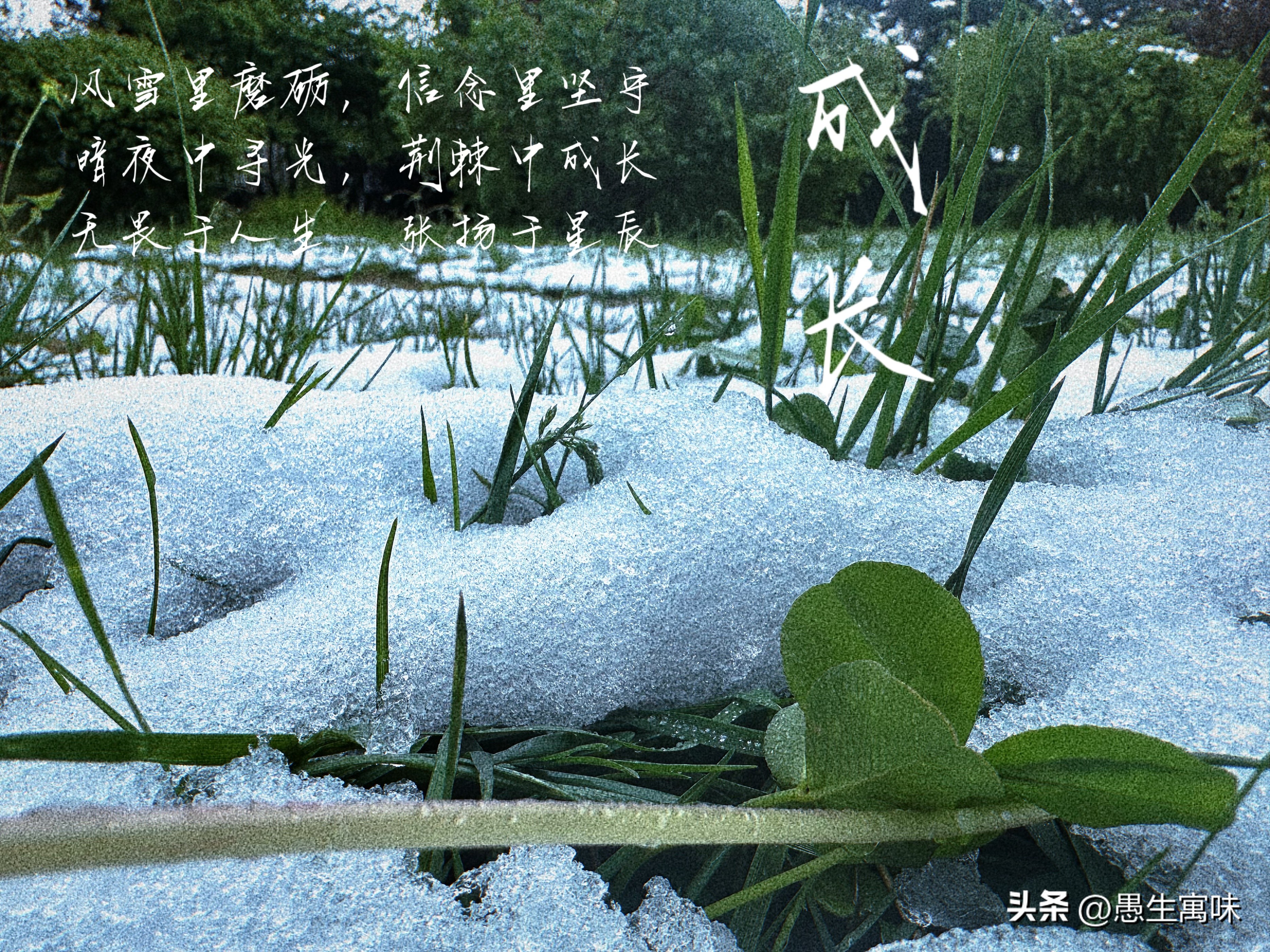 高考是什么时候出成绩,高考是什么感觉