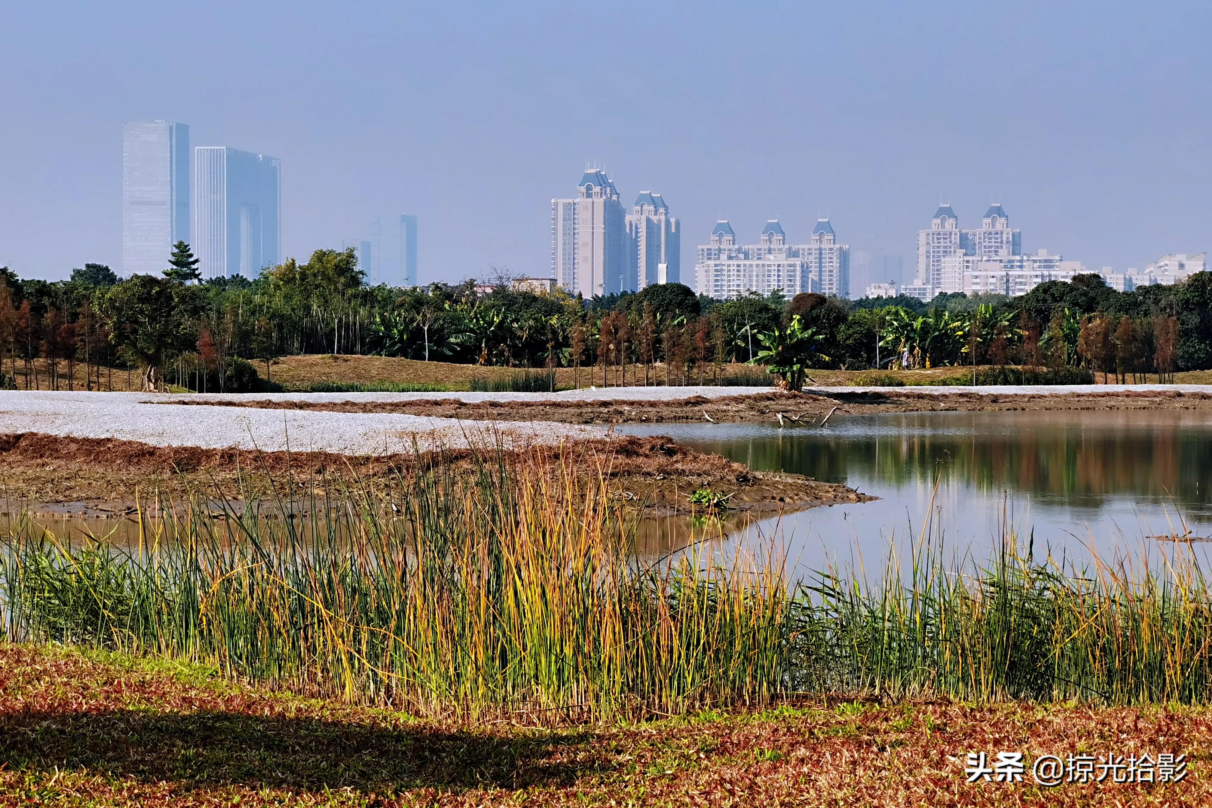 手机拍照用专业模式还是自动模式,手机摄影专业模式怎么拍细节