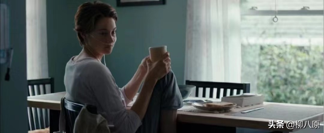 星运里的错美国电影简介,星运里的错电影解析