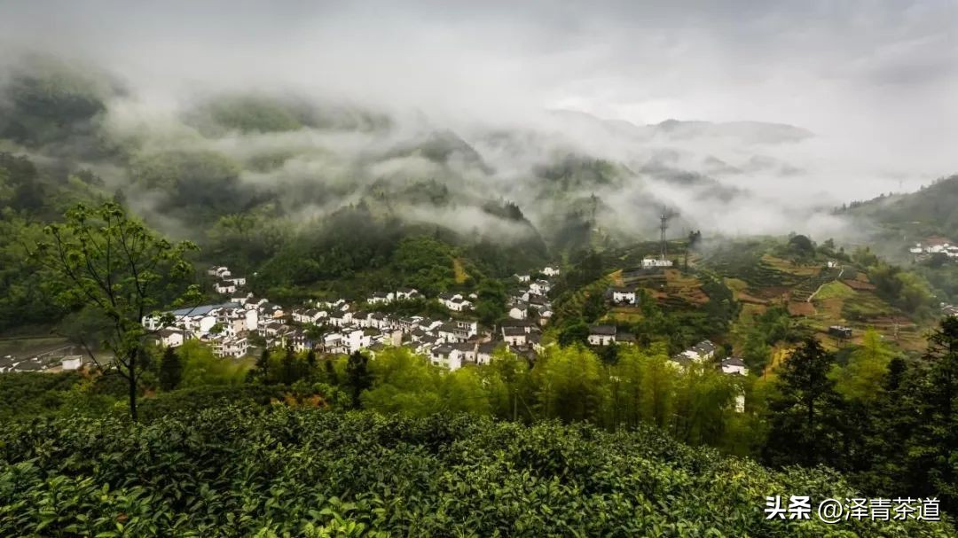 福建中国茶叶第一大省,中国茶叶排名第一省