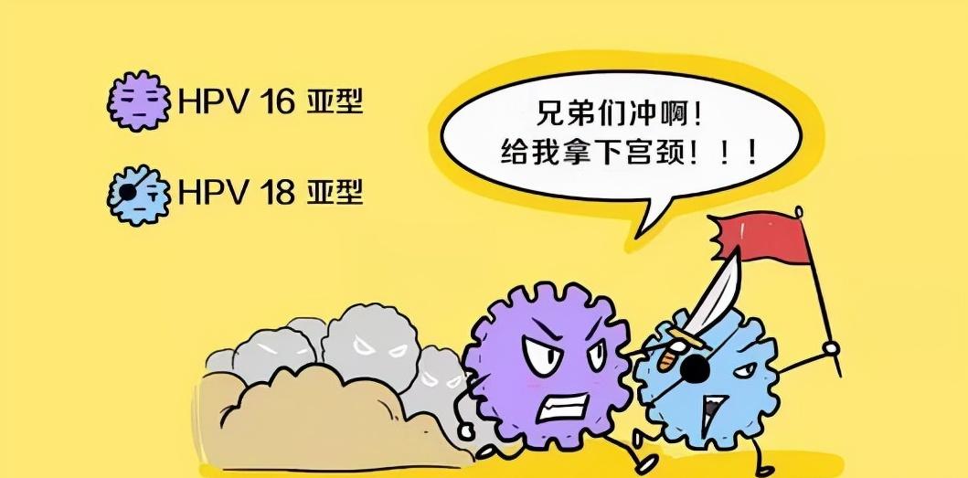 hpv长期不转阴可以做光动力吗,hpv一直不转阴99%都有这3点