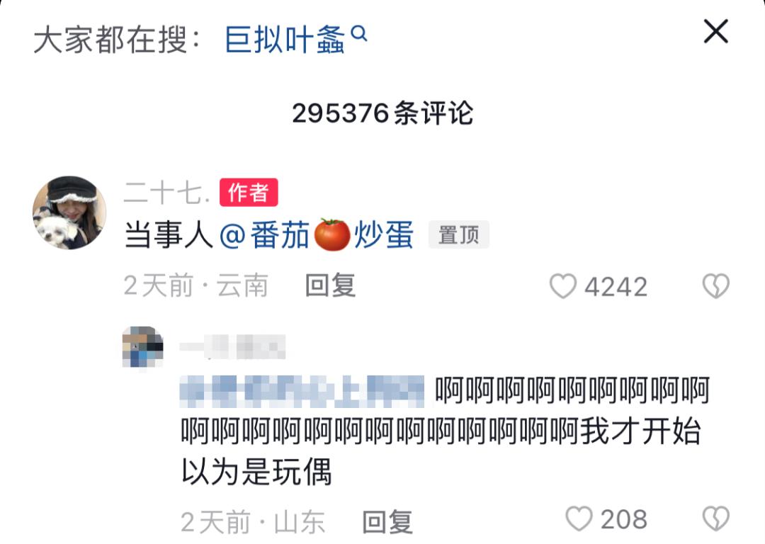 学校突然出现诡异的虫子,女生宿舍惊现不明虫