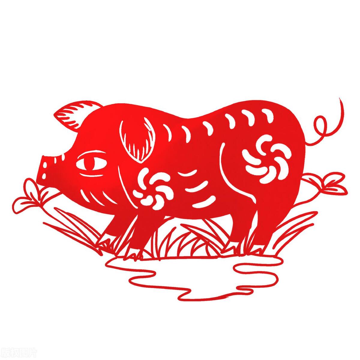 晚年不愁钱花不愁吃的五大生肖,晚年爱操心的生肖有哪三大生肖