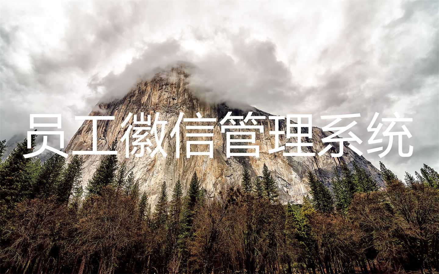 企业微信业务营销,企业怎样做好微信营销工作