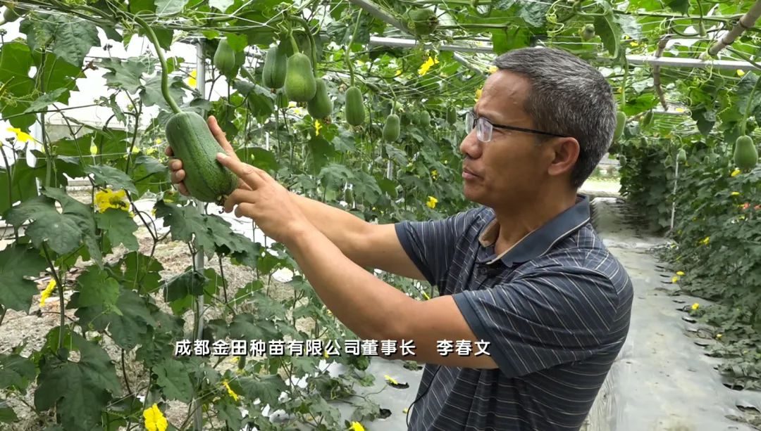 擦亮高原特色农产品名片,擦亮农产品金名片