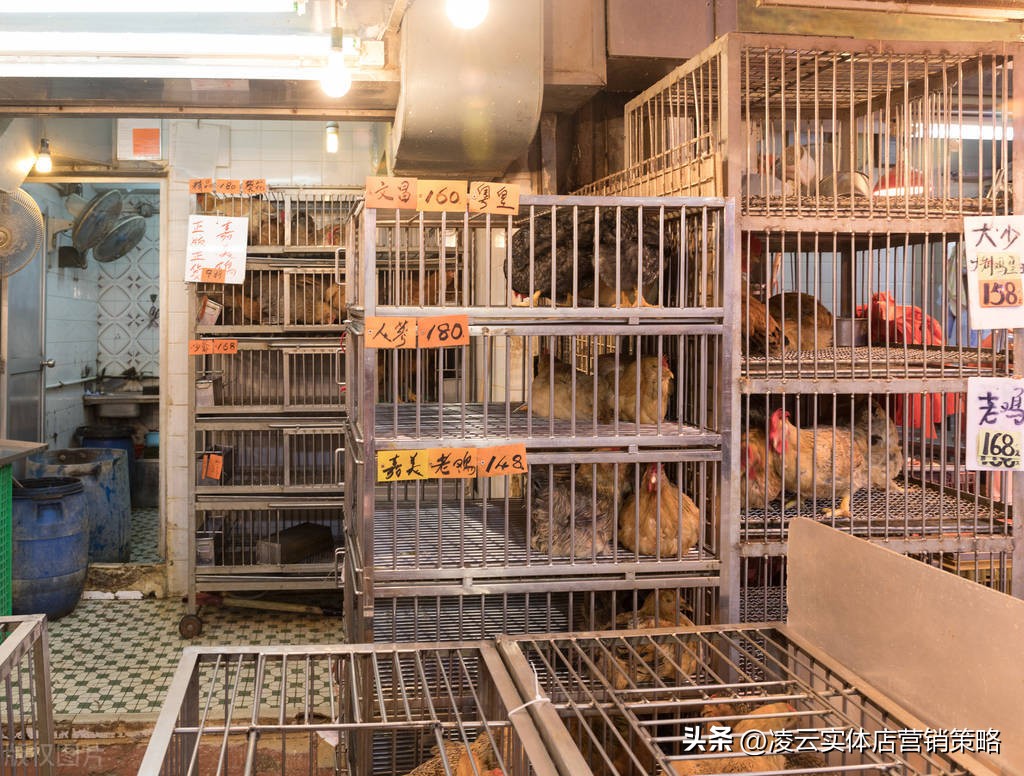 实体店赚钱的方案是什么,实体店干啥最挣钱