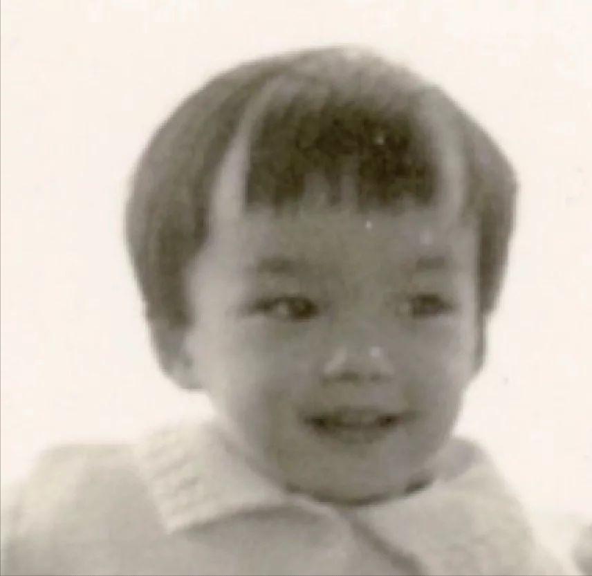 宝丽金四朵金花vs滚石四朵金花,宝丽金公认四朵金花