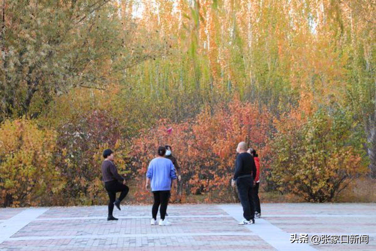 摄影师陈飞扬,摄影师张家口