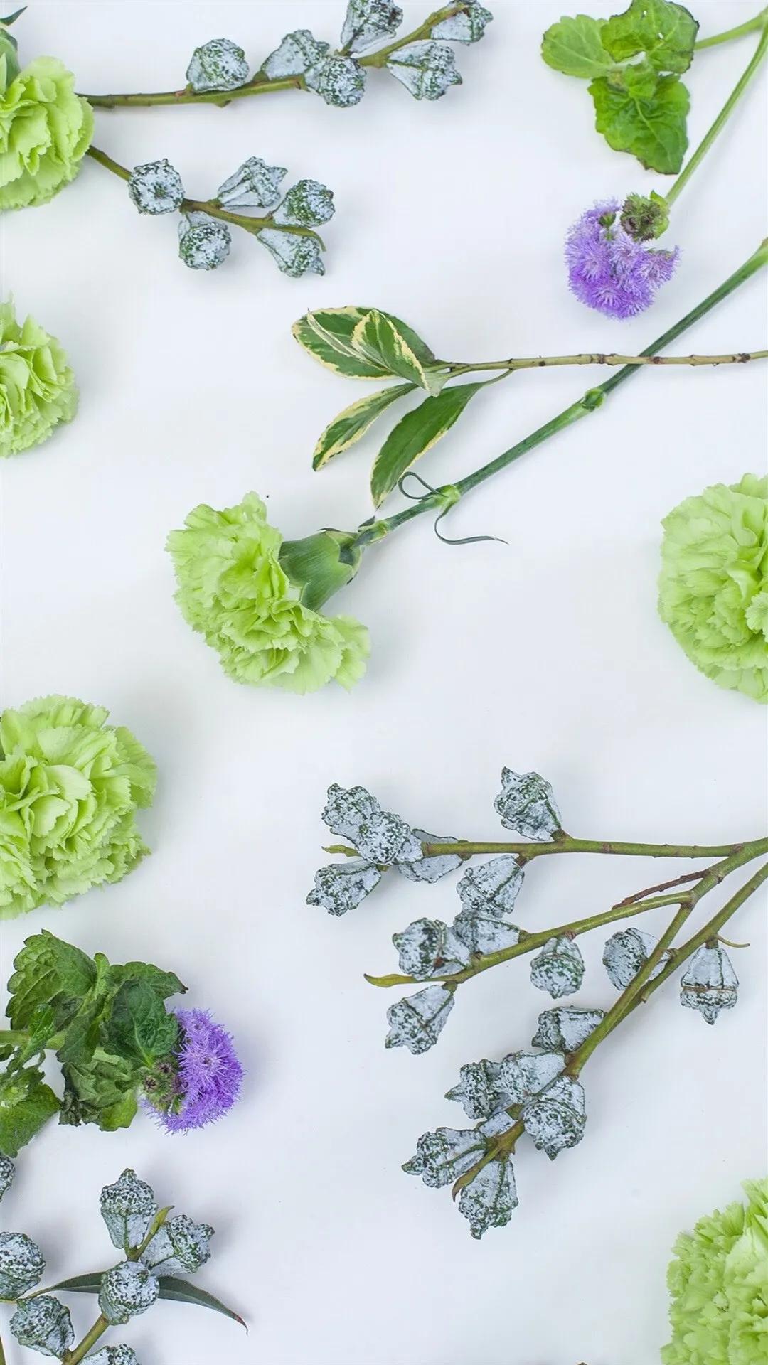 康乃馨花束壁纸,康乃馨壁纸手机超清全面屏