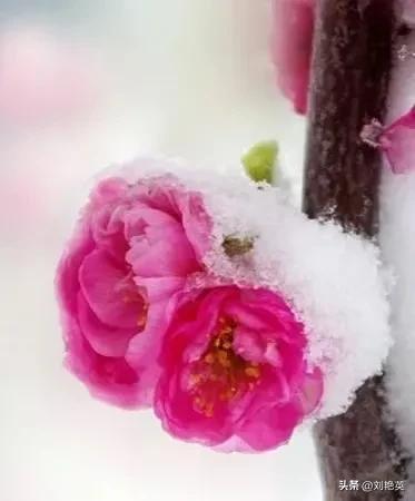 鎯呯悊鍑鸿嚜鍝噷,鎯呯悊浣曞湪