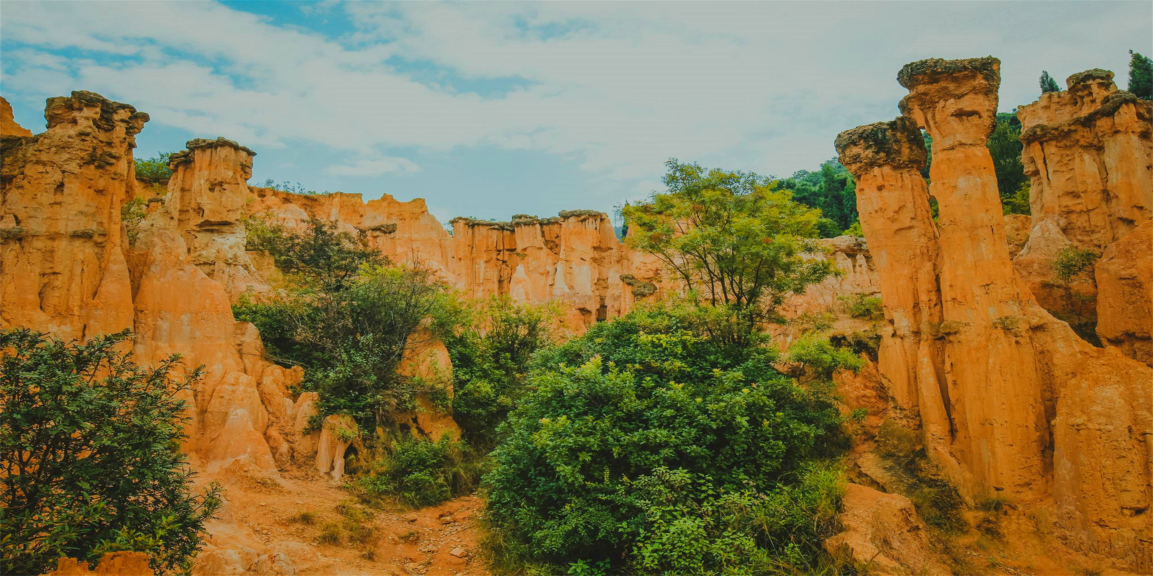 王仕彬,王仕彬百科