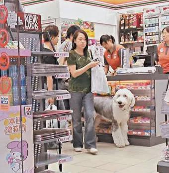 和陶大宇同时代的tvb男星,香港明星谈陶大宇