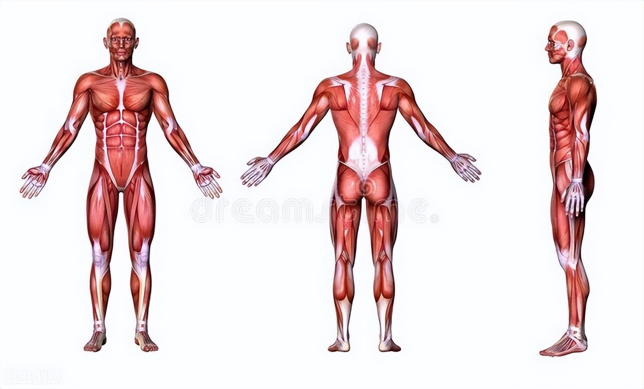 中医外治法的特点优势,中医外治法整体调理人体经络