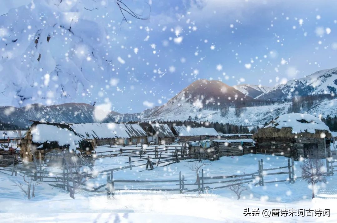 冬日十件奢侈事,冬日里的一件暖心事