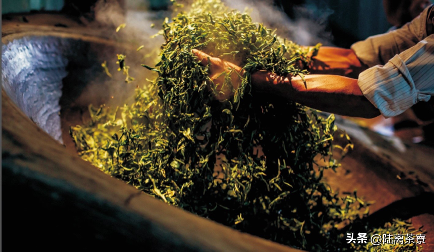 普洱茶杀青的详细介绍,普洱茶之鲜叶篇