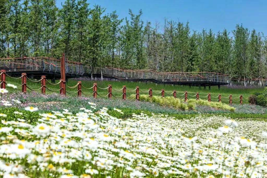 咸阳最好的公园在哪里,咸阳龙湖彩虹郦城规划有公园吗