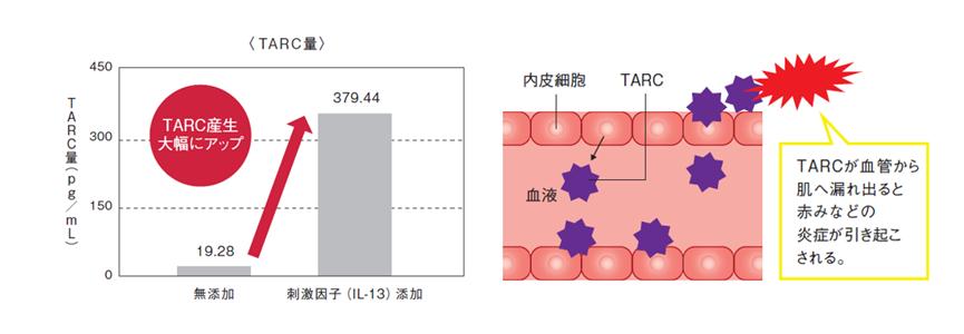 日本pola美容,pola新款美白水乳