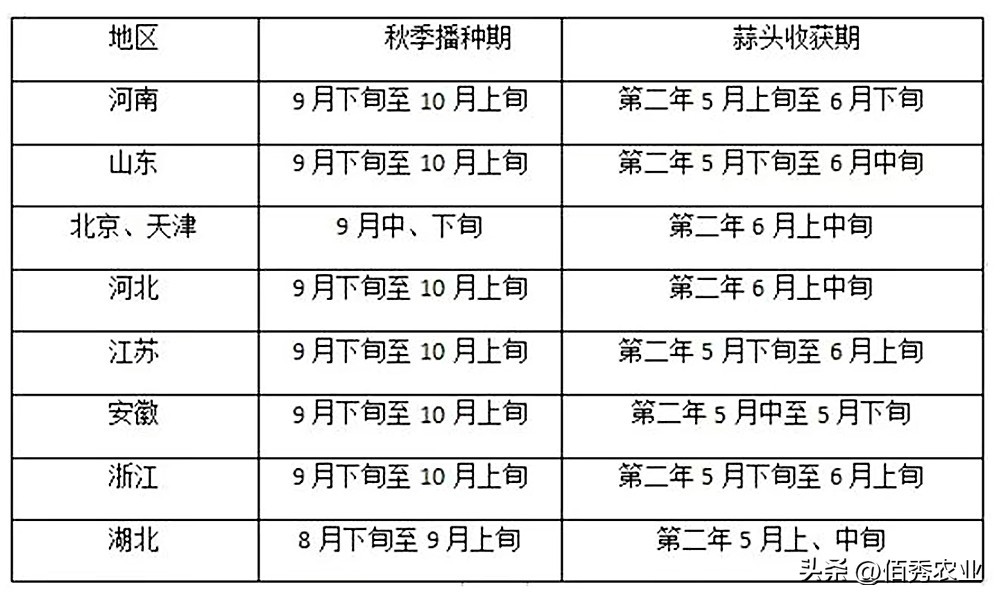 大蒜怎么施肥病害怎么防治,大蒜播种后怎么除草
