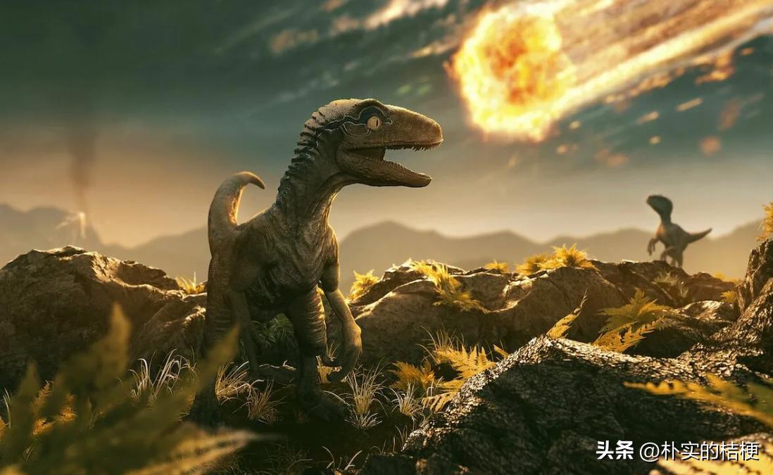 恐龙犯下的错误,恐龙错误代码