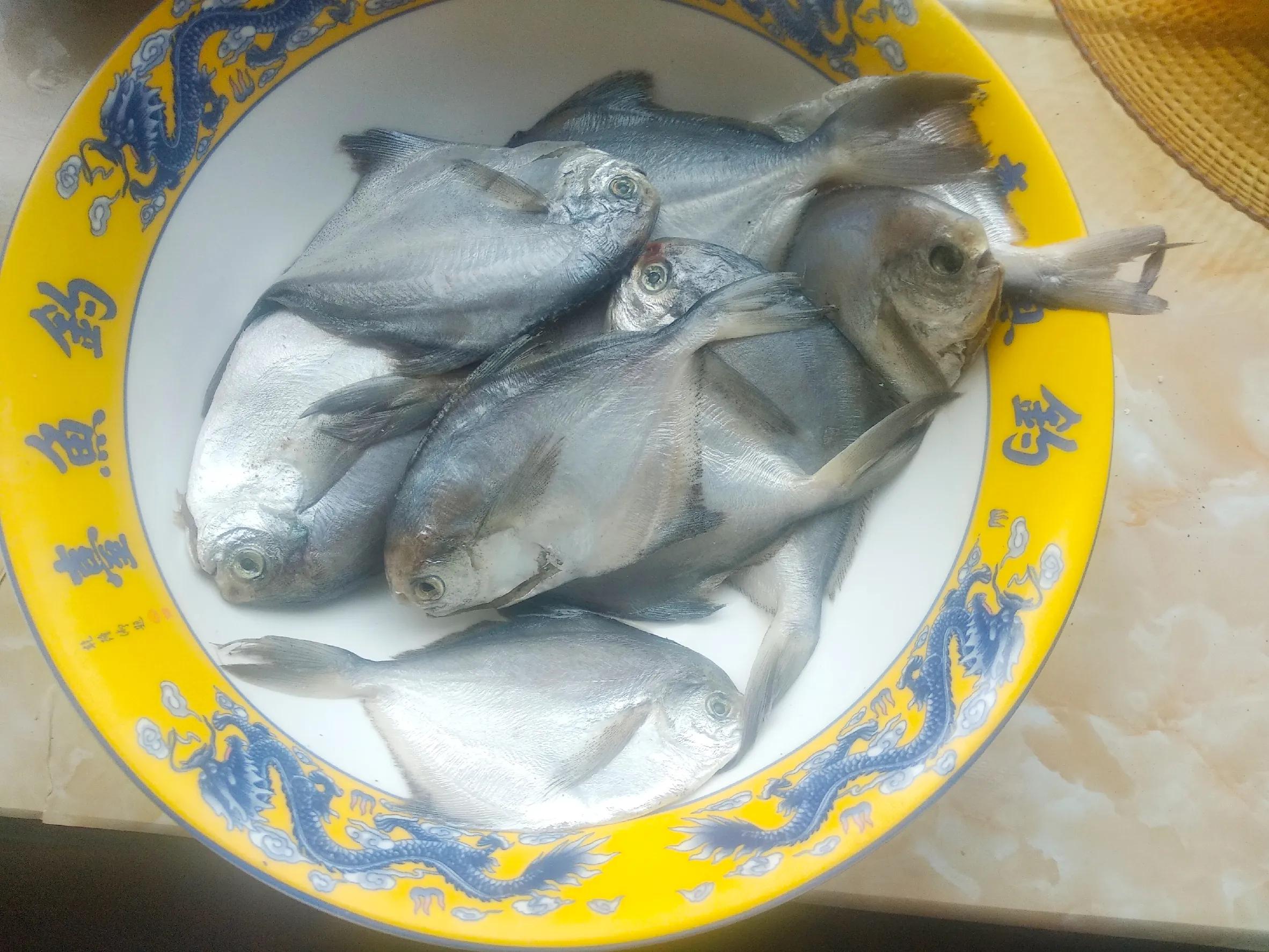 休渔期什么海鲜最好卖,休渔期到来但这些海鲜仍可以选择