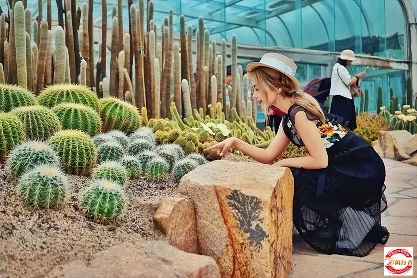 2023年2月11-19追风行者自驾永定土楼-鼓浪屿-九曲溪9日游招募中