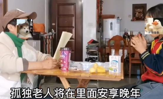 学校烟火气的生活作文,人间烟火气最抚凡人心怎么写作文