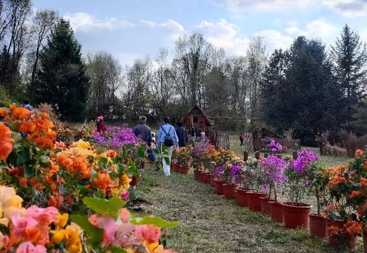 十四运抚顺火炬点燃,喜迎十四运节目