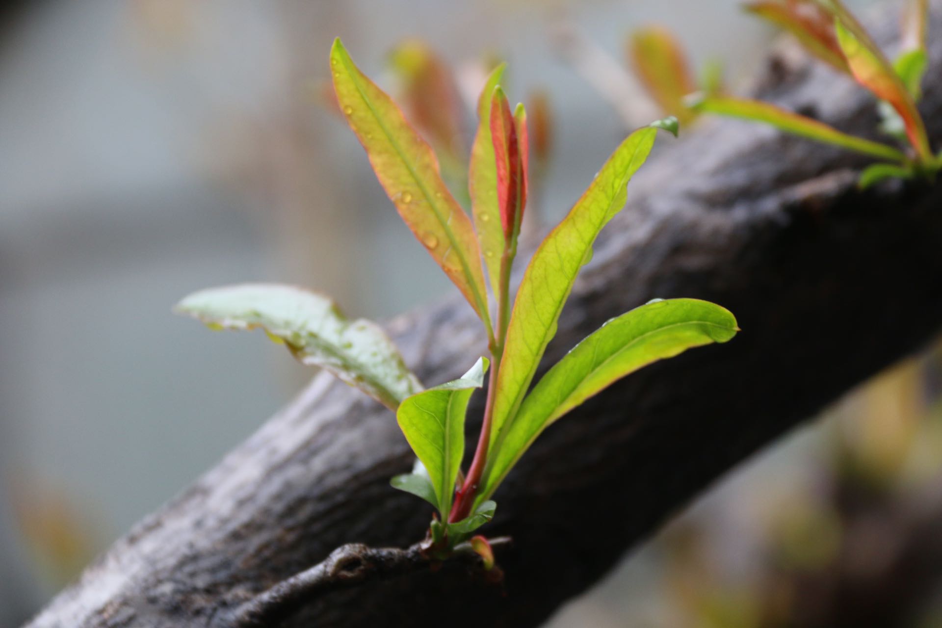 二十四节气与天文历法,二十四节气属于什么历法