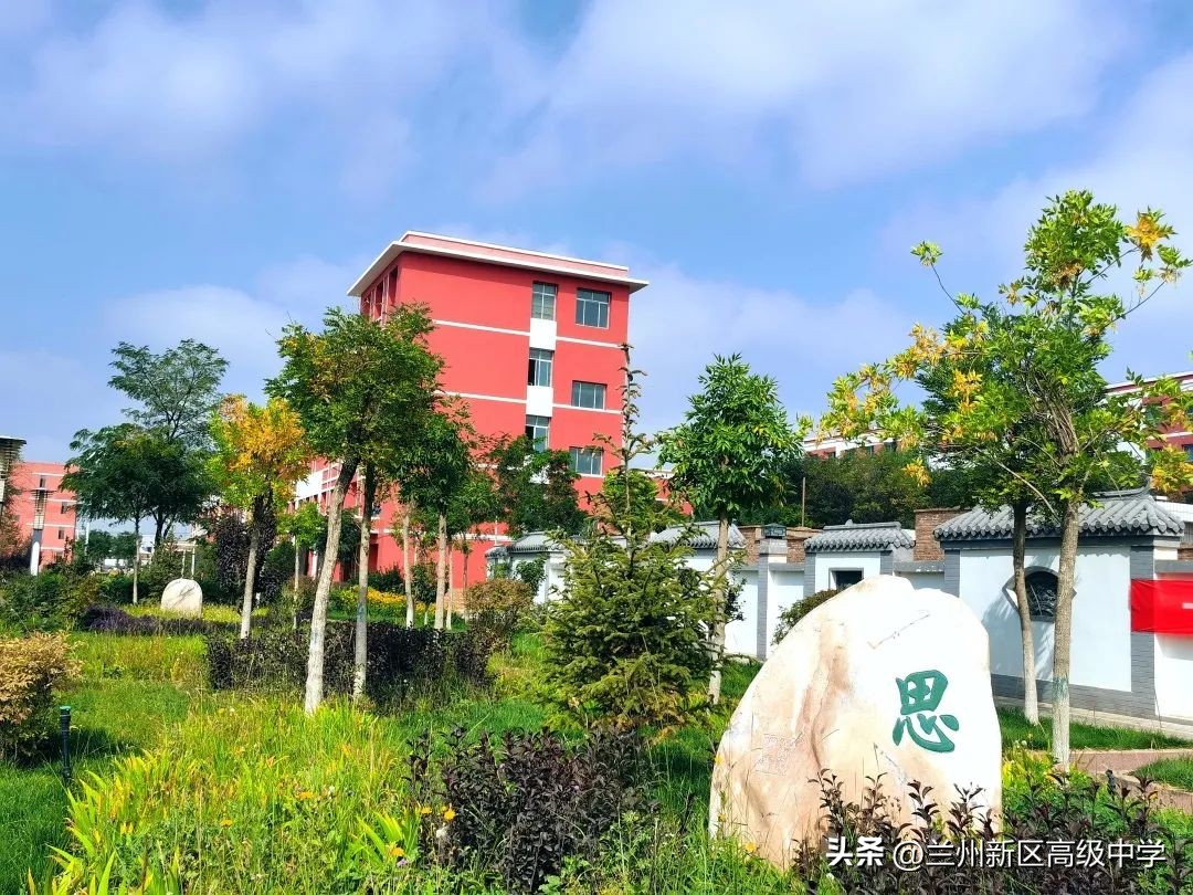 兰州新区高级中学学子在信息素养提升实践活动中斩获多个奖项