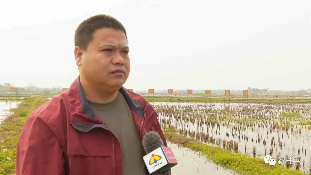 桂平：生态小龙虾错峰养殖助力乡村振兴