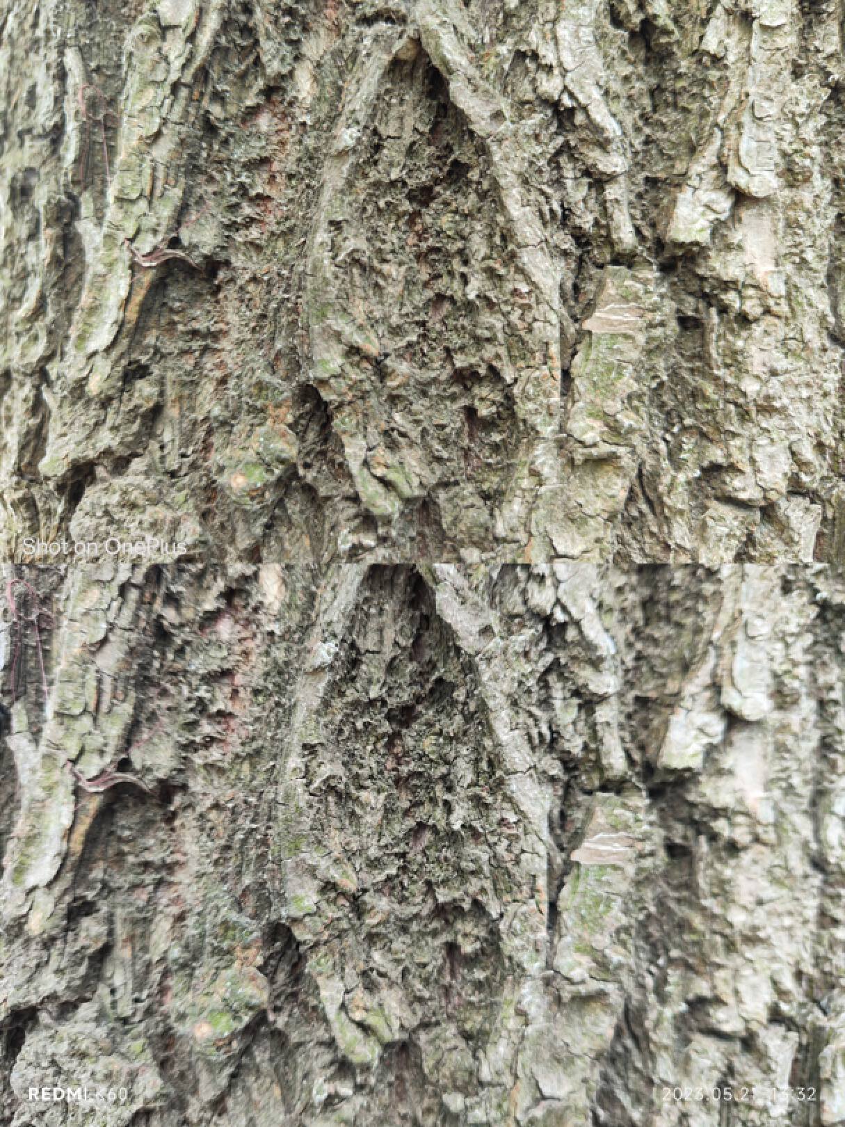 一加ace2pro对比iphone13拍照,一加ace2v与红米k60拍照