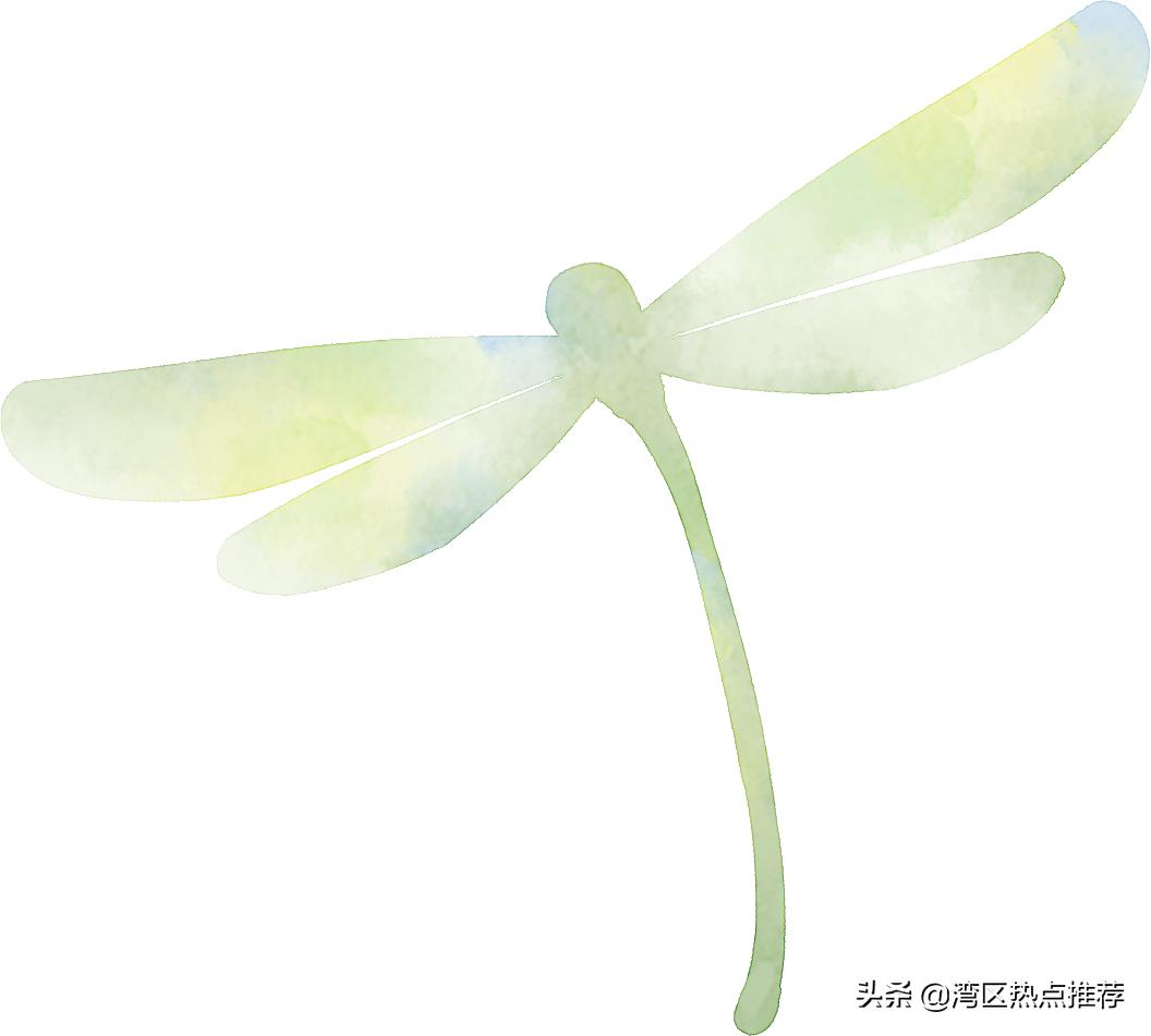 精彩回顾｜“无瑕”春季婚礼秀