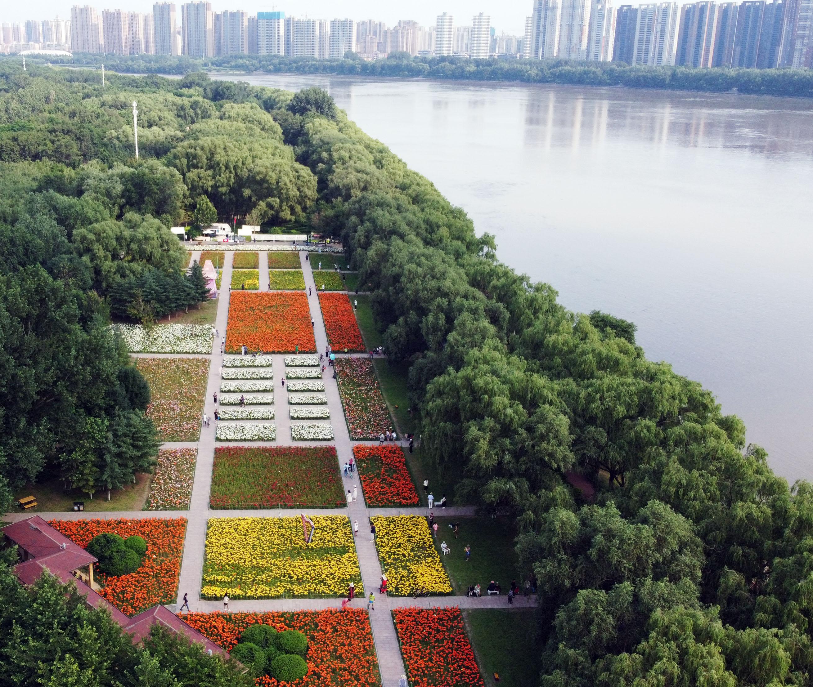 沈阳和平区未来发展,沈阳和平区发展