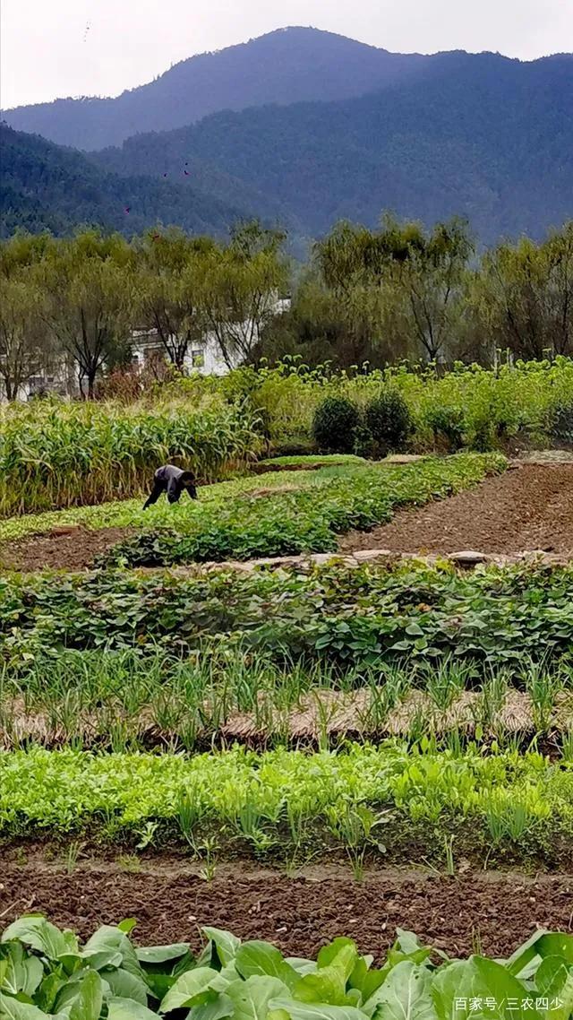 在农村做什么小生意最赚钱最长远,农村人做什么小生意最赚钱