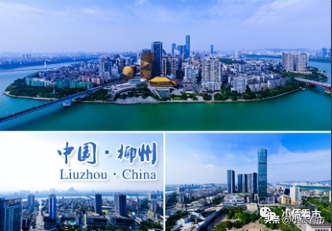 鏌冲窞涓滆瘹闆嗗洟鍊哄姟鍗辨満,鏌冲窞涓滃煄鍊哄姟杩濈害