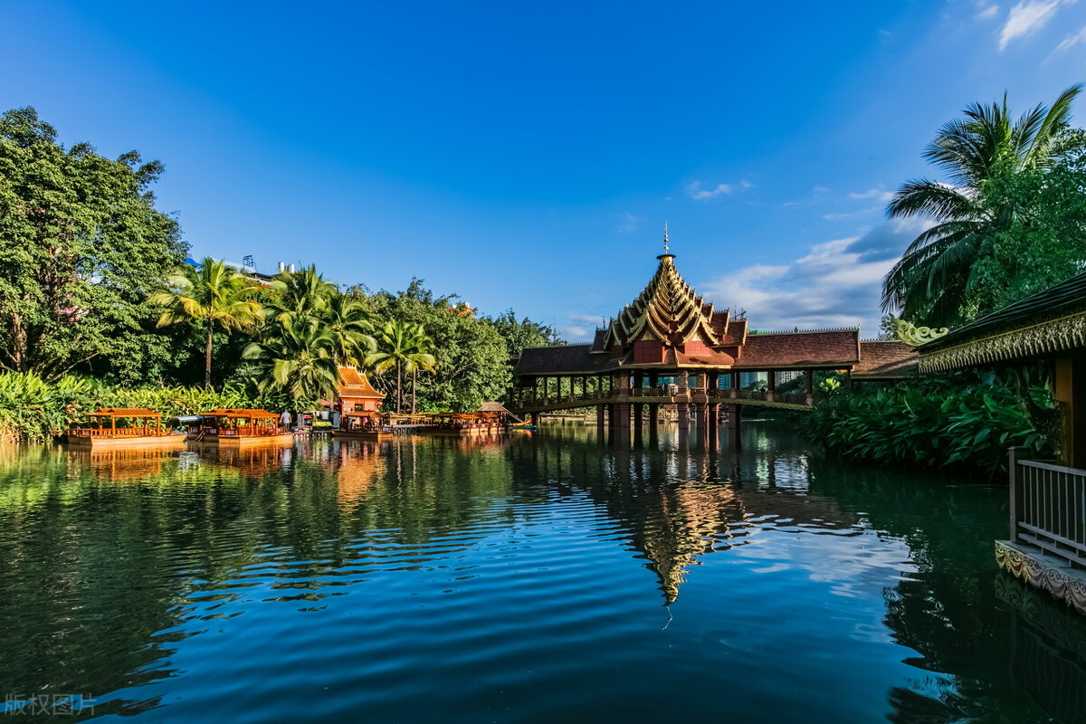 2022西双版纳门票免费的景区,西双版纳望天树景区与热带植物园