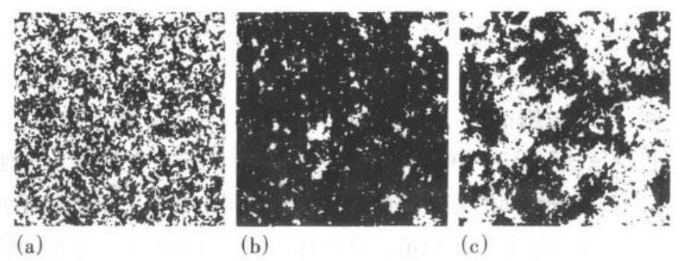 股市的震荡和趋势是怎样产生的,股市上涨趋势的形成