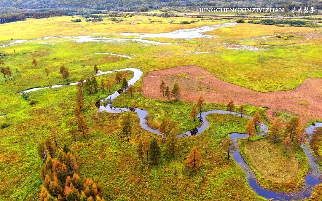 秋天大兴安岭最美的地方,秋天美丽的大兴安岭
