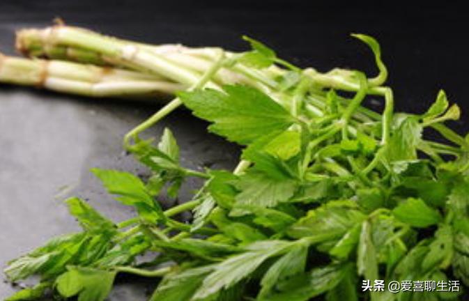 临近元宵节，6种蔬菜记得吃，清肠解腻，寓意今年吉祥如意发大财