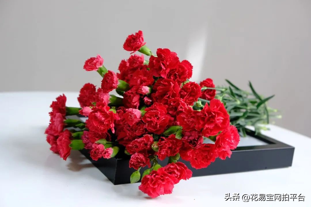 女神节快到了，哪些花材值得备货？内含优质卖家推荐！