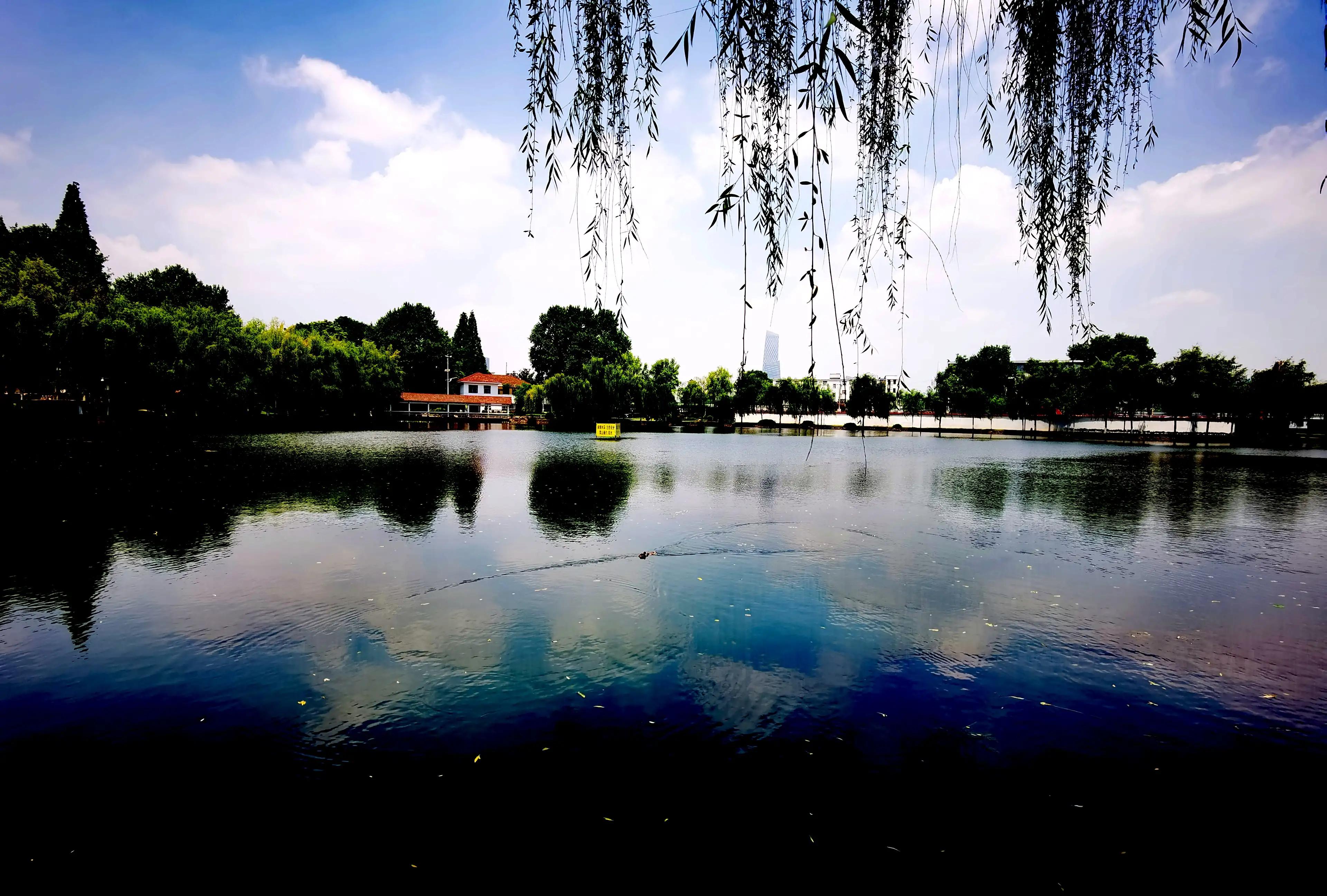 武汉四美塘公园开园了吗,四美塘公园和武昌生态文化长廊