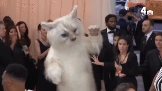 刘雯邓文迪,邓文迪杨紫琼