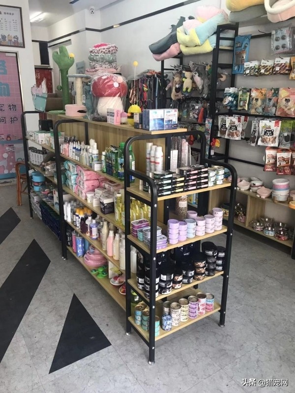 宠物店宠物美容师工资,宠物店美容师工资怎么拿的