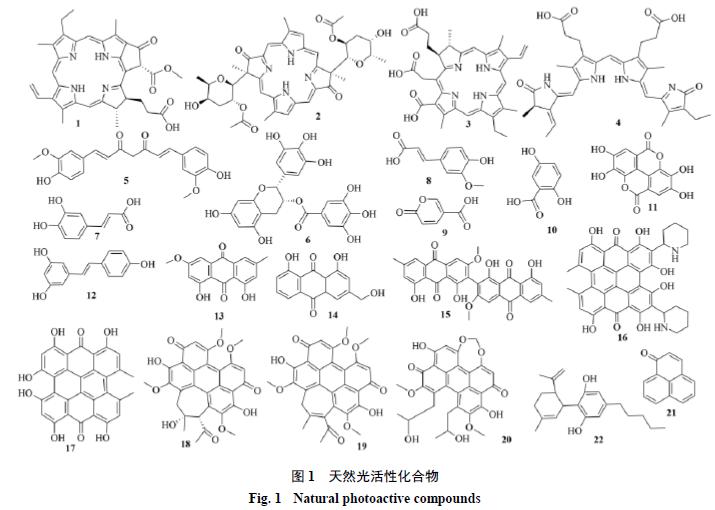 光敏剂研究背景,中国新型光敏剂