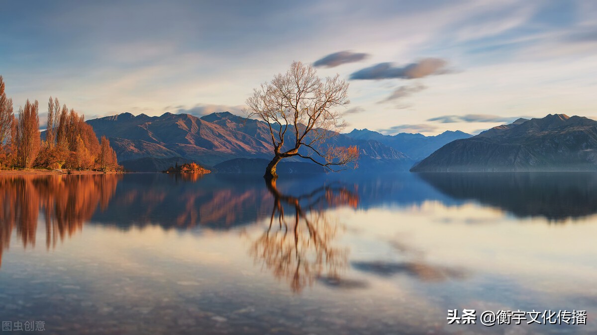 蘧姓来源,蘧姓由来