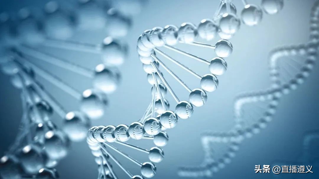 23年最新儿童身高标准,23年国标儿童身高