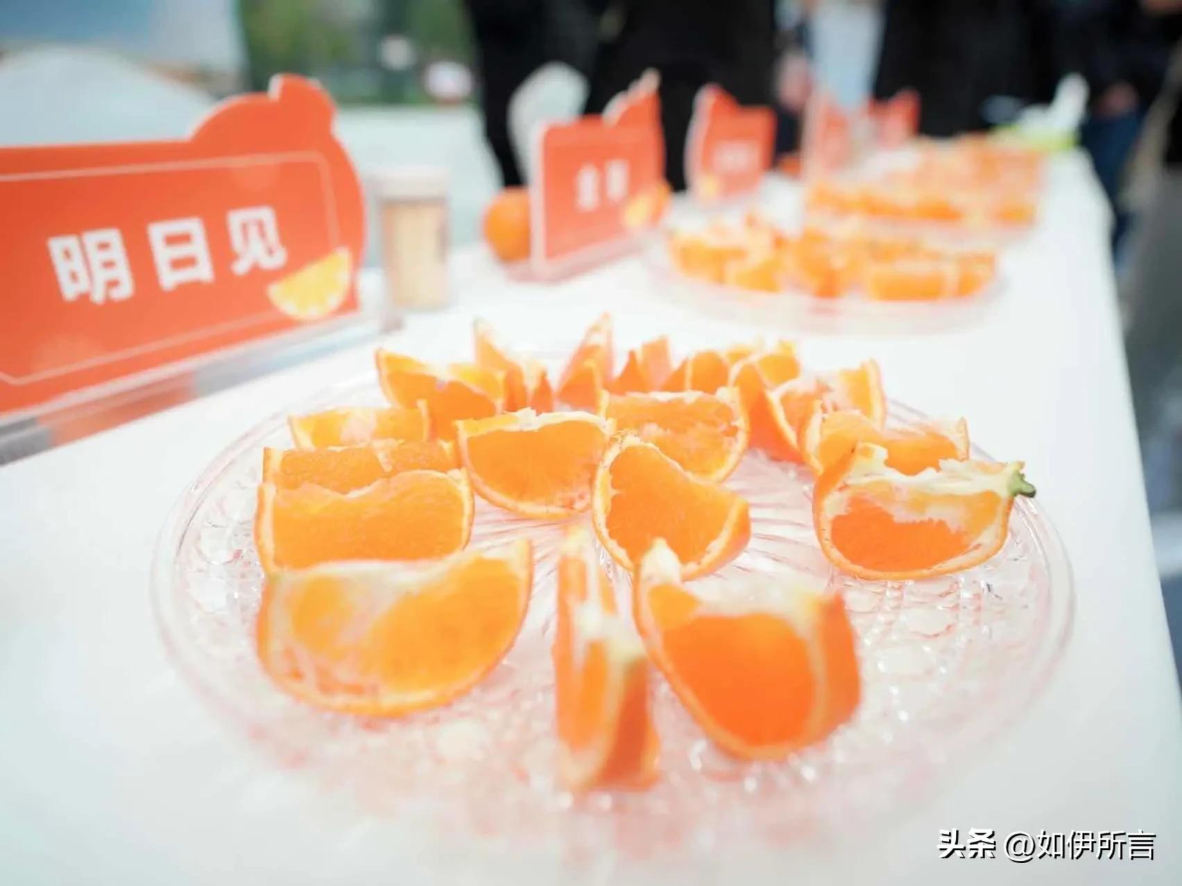 从白领到果二代，依托晚熟优势，回家创业打响丹棱桔橙招牌